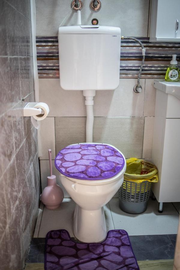 Prenociste Indija Hrvic Apartment Bagian luar foto