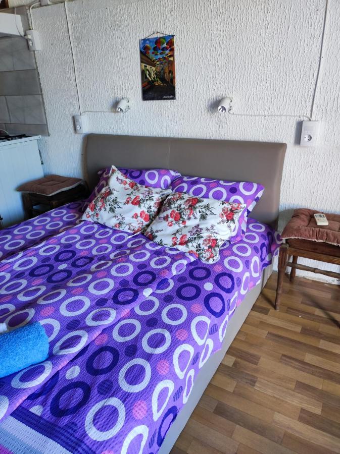 Prenociste Indija Hrvic Apartment Bagian luar foto